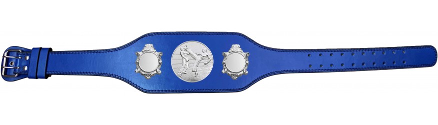 KICKBOXING CHAMPIONSHIP TITLE BELT-BUD003/S/KBOS - 4 COLOURS